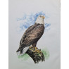Faune d'amerique