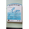 Au Fond de la Mer