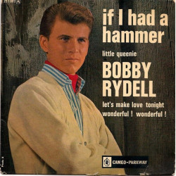 If I Had A Hammer