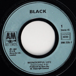 Wonderful Life