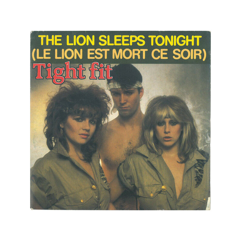 The Lion Sleeps Tonight   Le Lion Est Mort Ce Soir