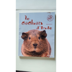 Le cochon d'Inde