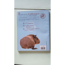 Le cochon d'Inde