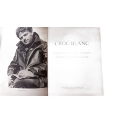 Croc-blanc