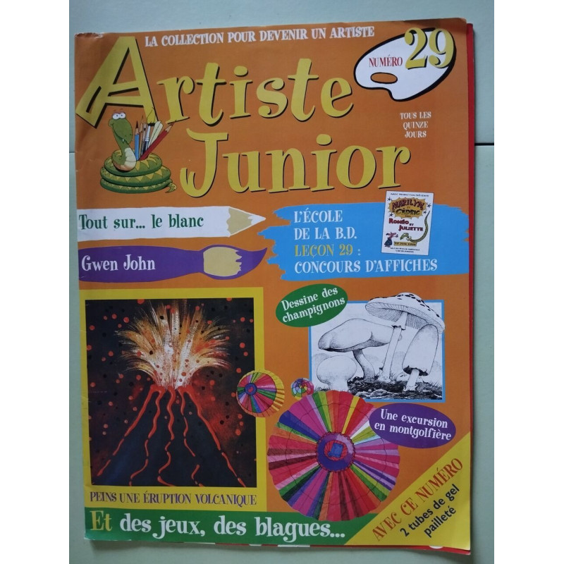 Artiste junior n° 29