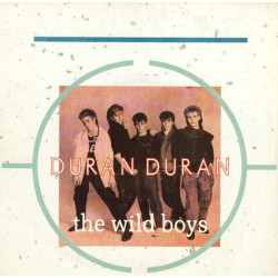 The Wild Boys