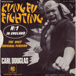 Kung Fu Fighting
