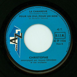 Excusez-Moi Mr. Le Professeur