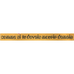 Comme Si Tu Devais Mourir Demain