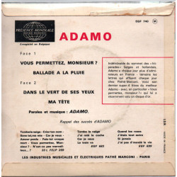 Vous Permettez Monsieur