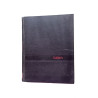 Standard Dictionary of the English Language - volume one