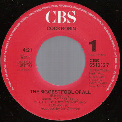 The Biggest Fool Of All