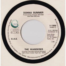 The Wanderer