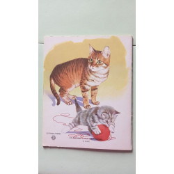 Petits amis