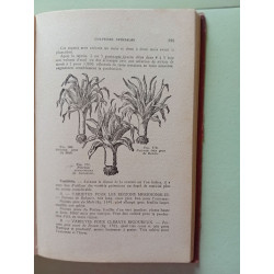 Les Légumes