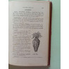 Les Légumes