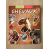 Pourquoi Comment Les Chevaux