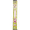 Winx Club