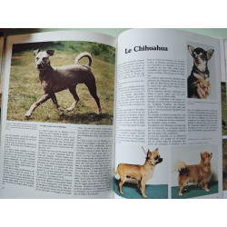 Les principales races de chiens