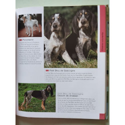 Les chiens