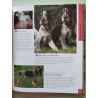 Les chiens