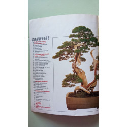 L'art du Bonsai