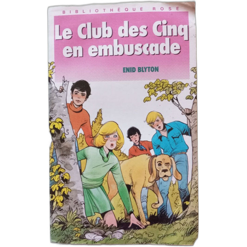 Le Club Des 5 En Embuscade