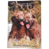 Le calendrier des animaux 1999