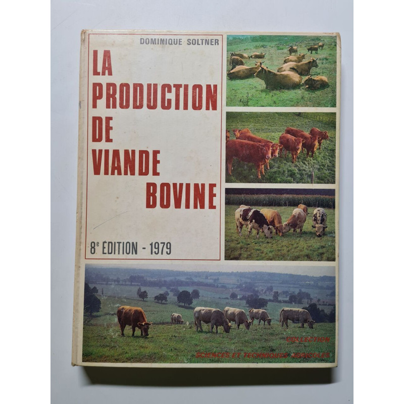 La production de viande bovine