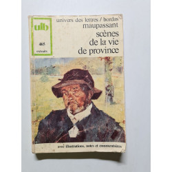Scènes de la vie de province