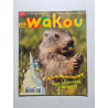 Wakou nº 197