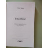 Soleil brisé