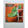 Lorito le perroquet