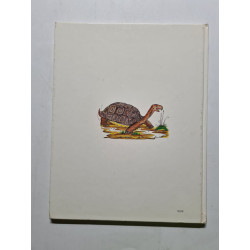 Et l'on chercha tortue