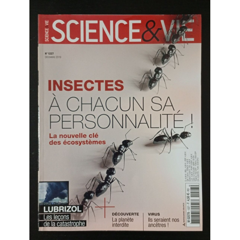 Insectes à chacun sa personnalité! - Décembre 2019