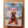Fluke