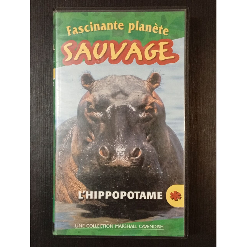 L'Hippopotame