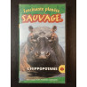 L'Hippopotame