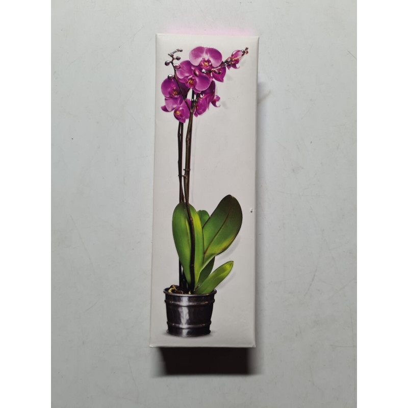 Orchidées