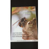 L'Abeille de France et Apiculteur Nº1065 / Février 2019