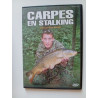 Carpes en Stalking