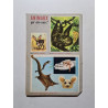 Rin Tin Tin et Rusty nº 82