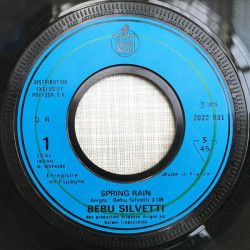 Spring Rain / Travel Check