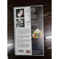 Chroniques de la Guerre de Lodoss volume I