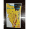 Chroniques de la Guerre de Lodoss Volume I