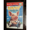 Rudy