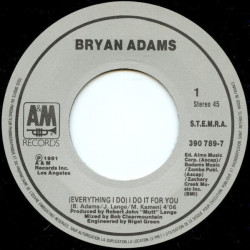 (Everything I Do) I Do It For You