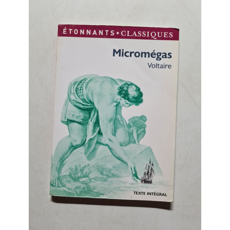 Micromégas