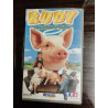 Rudy