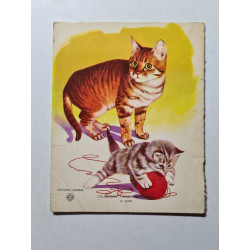 Petits amis